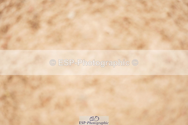 240524A-121732-03450 - Cls 15 Foxhunter