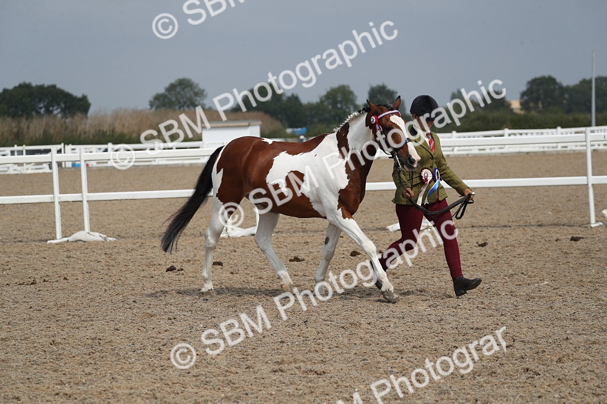 SBM_23207 - Class 605 - 2025 Area - IH Veteran