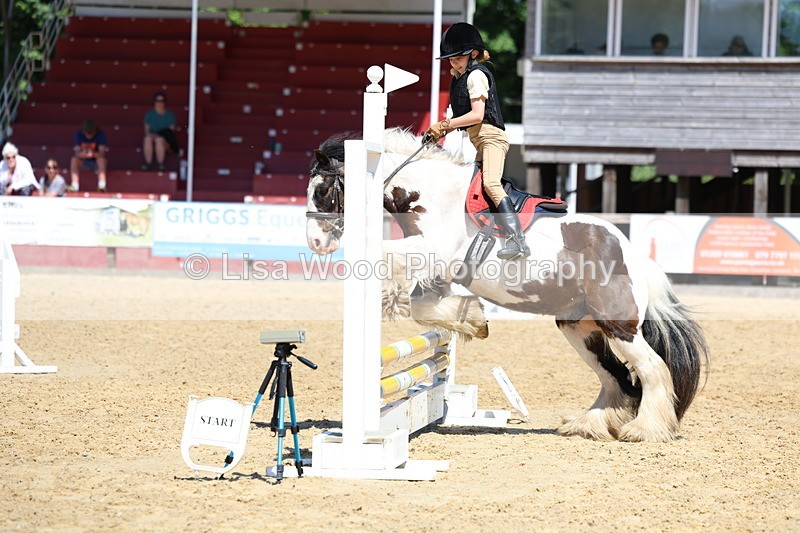 3E7A2600 - Class 4/5: 60cm Open Teams and Individuals