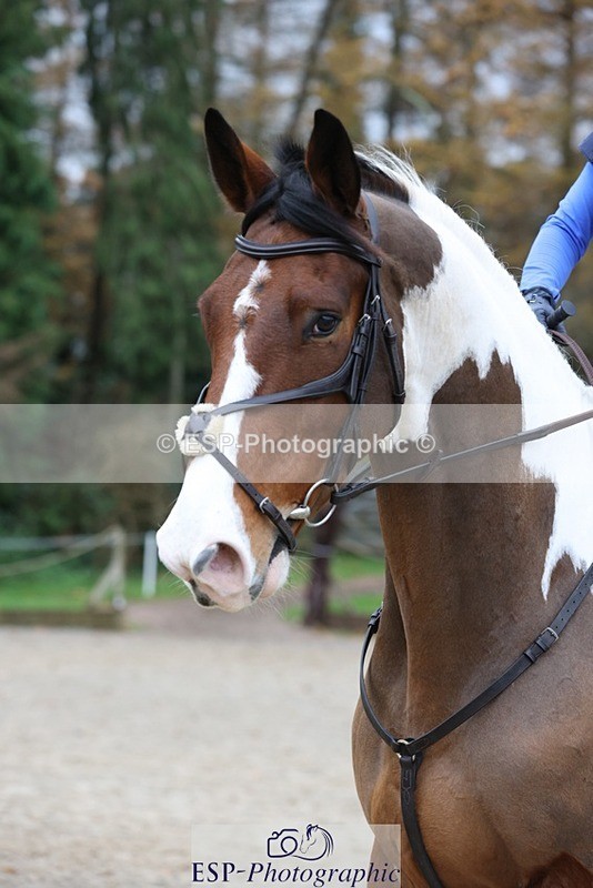 231118-115106-01313 - Cls 2 80cm 11.30 to End