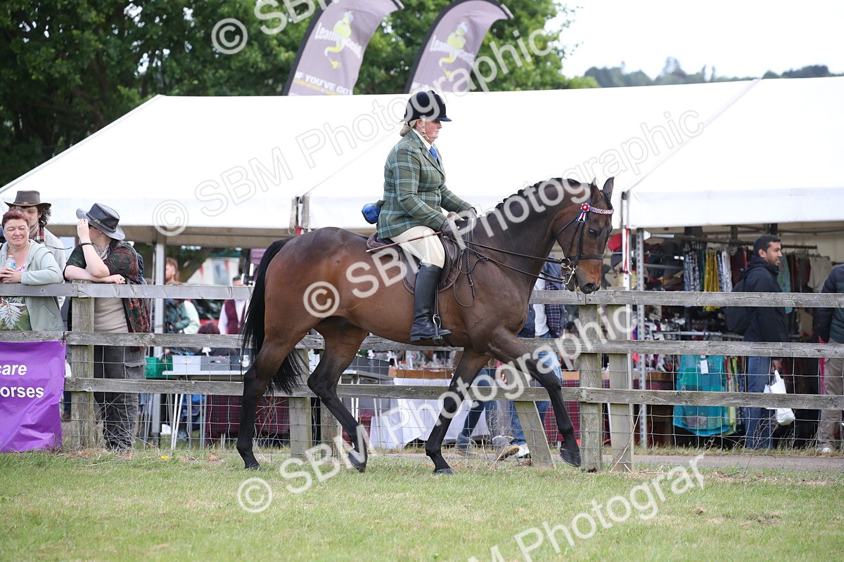 SBM_14167 - Class 113-114 - Retraining of Racehorses Ridden