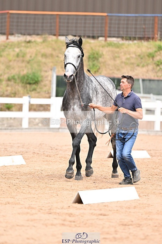 250716-153822-02074 - Trot Up 3.30 to 4.30