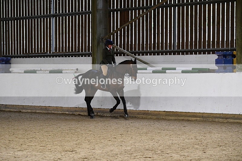 WJ5_8815 - Class 15 Ridden Show Horse