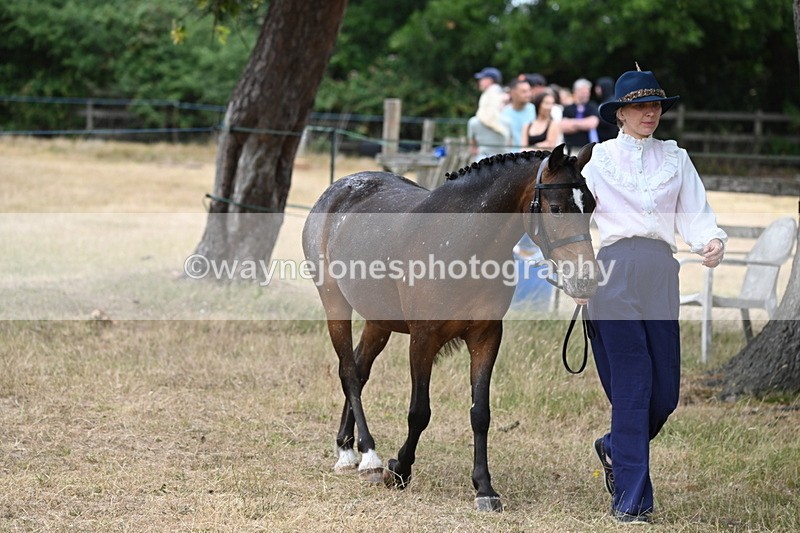 WJ6_7962 - Class 10 Coloured in Hand