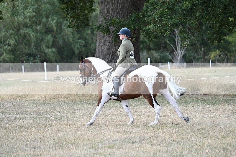 WJ7_7310 - Class 14 Ridden Coloured