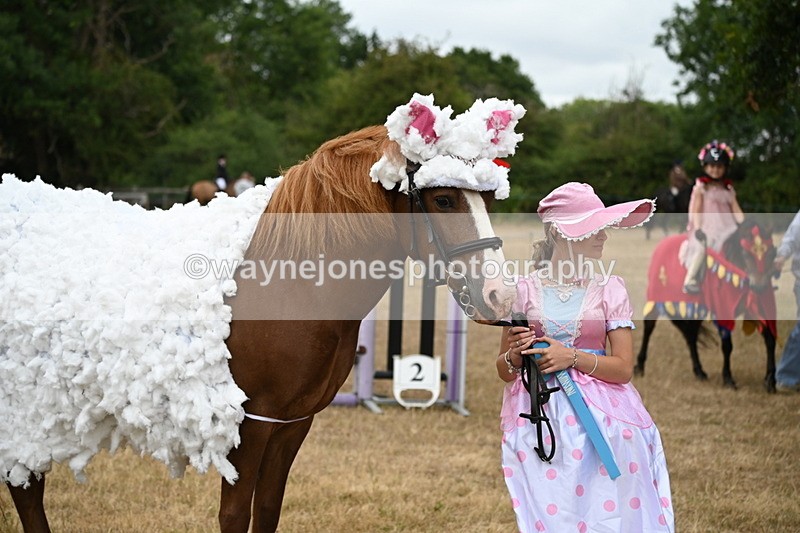 WJ6_8927 - Class 11 Fancy Dress
