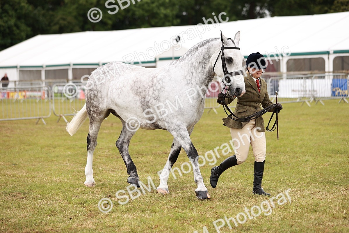 SBM_13053 - Class 85-87 - RIHS Cobs