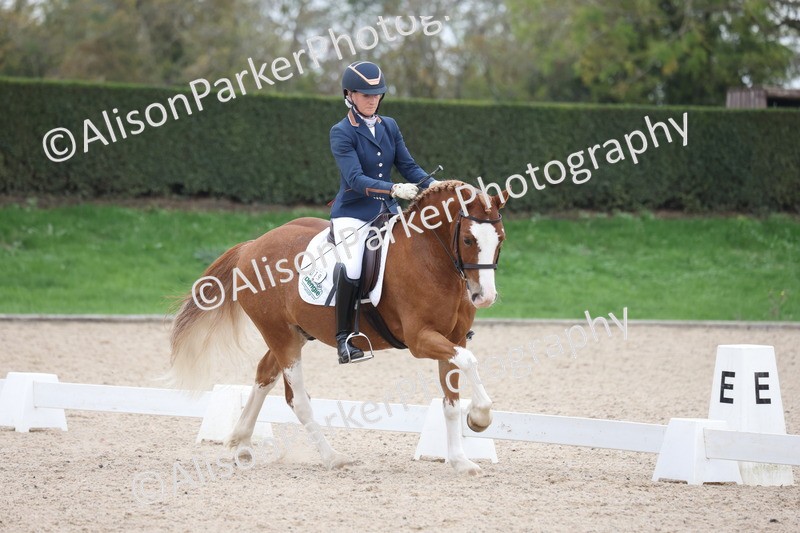 20251011-0364 - Class 3 - Prelim 2