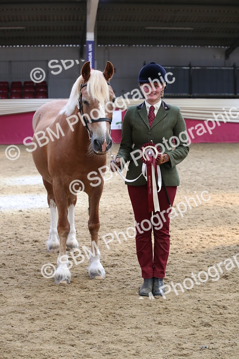 SBM_05435 - Class 8R - Regional IH Veteran