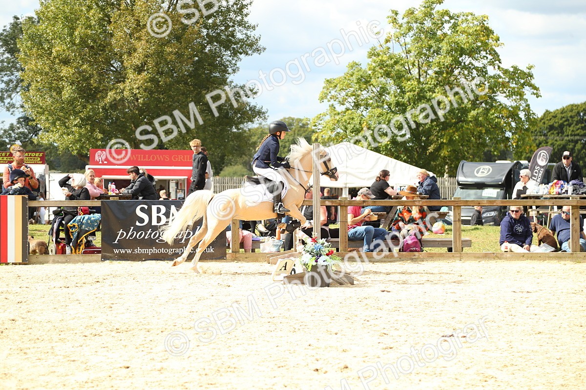 SBM_41433 - J6 - Junior Pony 55cm Championships