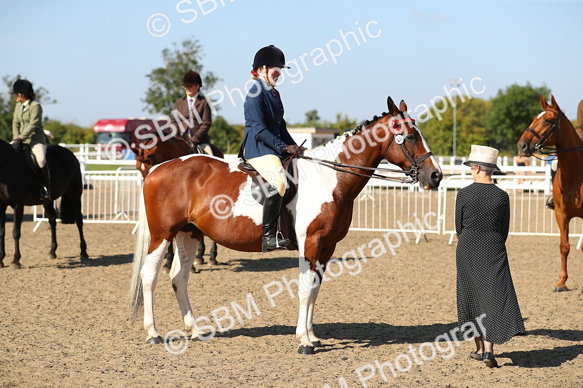 SBM_02282 - Class 43 Ridden Competition Horse/Pony