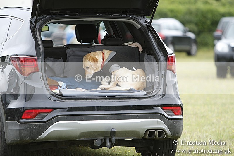 BVR160717-1268 - Caught on Camera 16/07/17