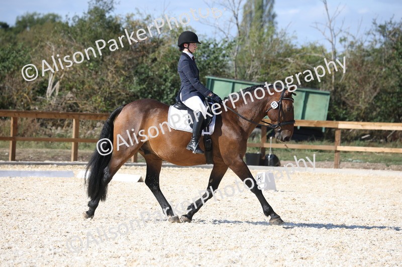 20260905-1604 - Class 5 - Novice 2