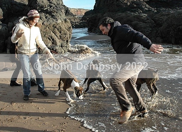 Where Did That Come From - Walking the Dog