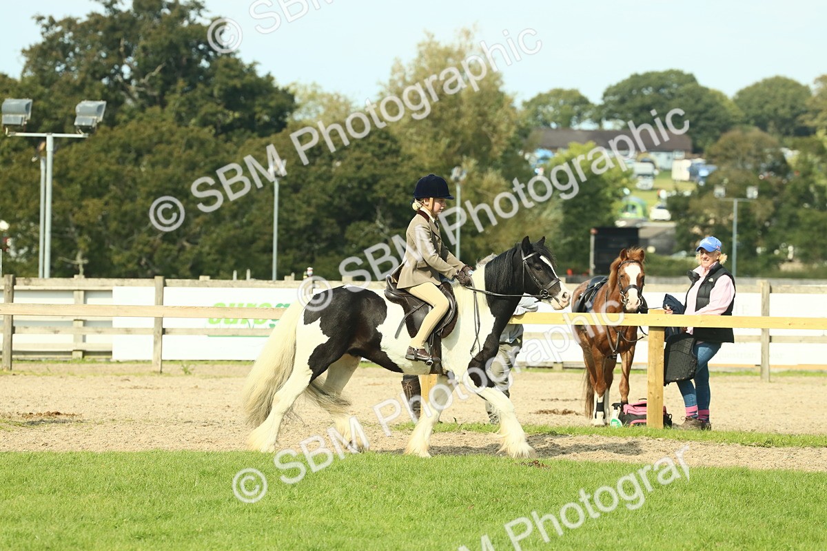 SBM_68892 - S58 - Mini Show Cob Ridden
