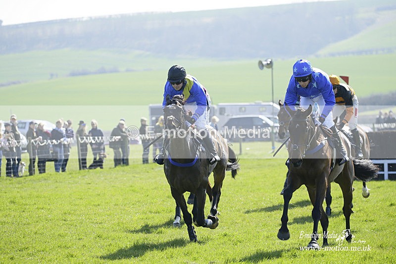 PtP 190322 215 - Wilton Hunt PtP Milborne St Andrew 19/03/22