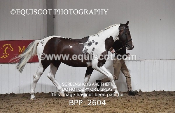 BPP_2604 - LOOSE JUMPING / SPSS