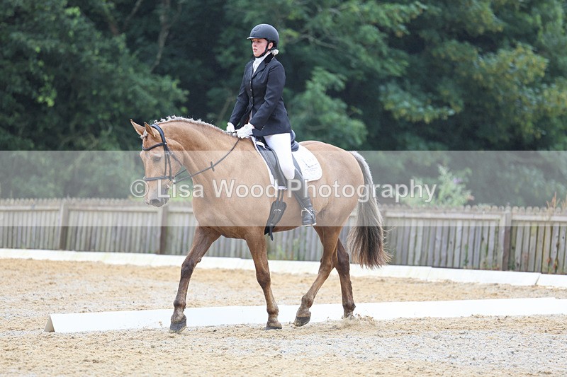 3E7A8624 - Class 2: Intro 3 2024 section B