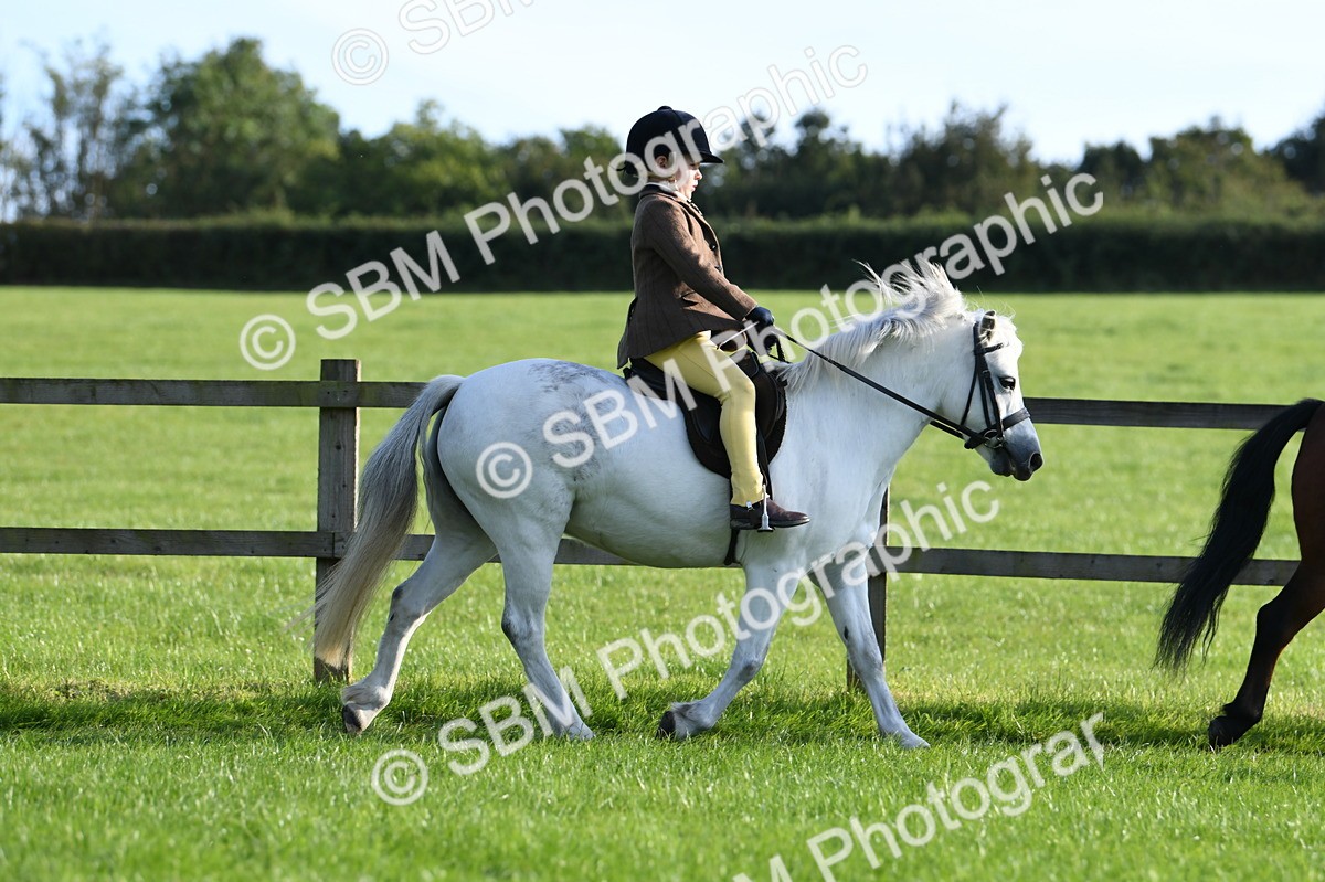 SBM_53997 - S23 - 1st Ridden Mountain & Moorland Pony