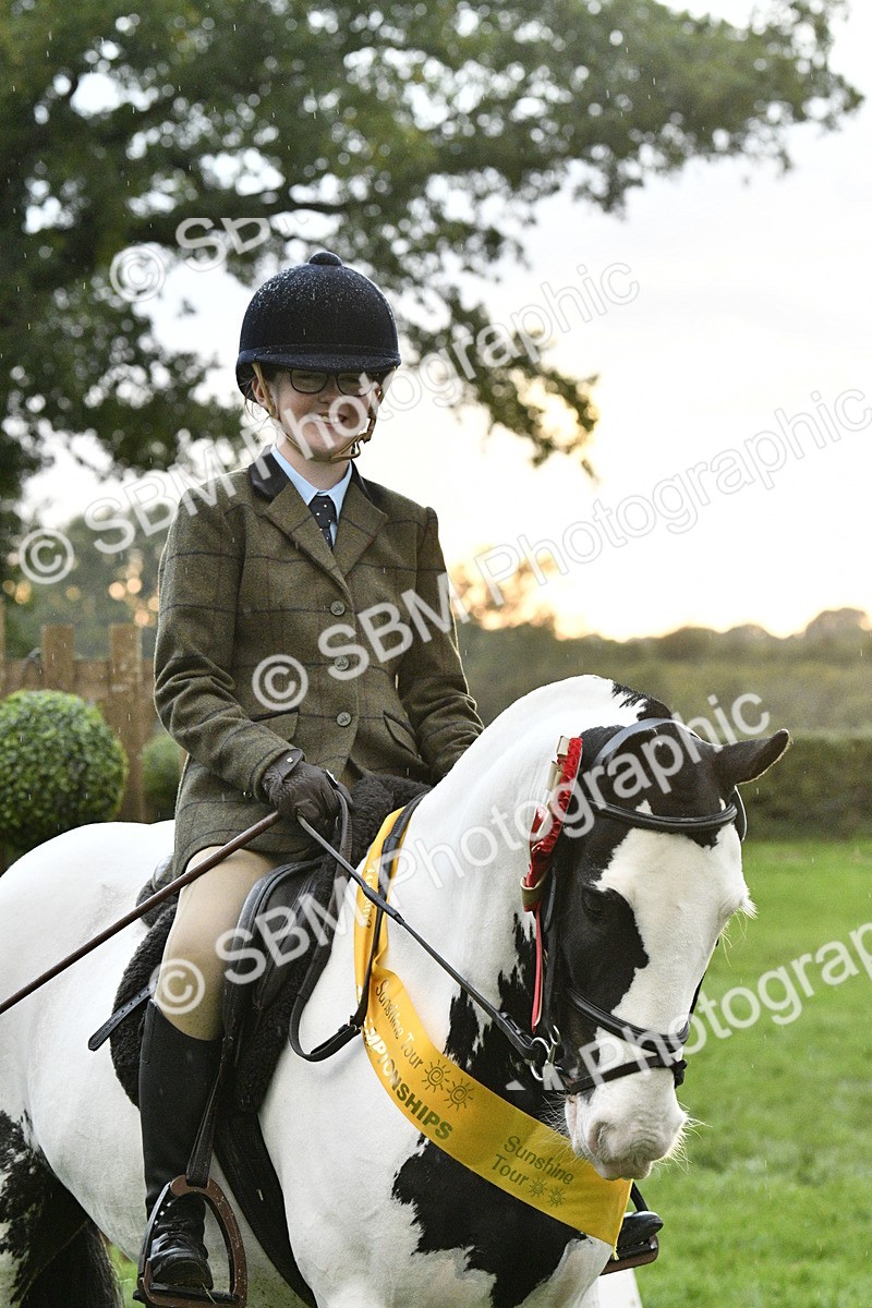 SBM_53361 - S14 - Riding Club Horse