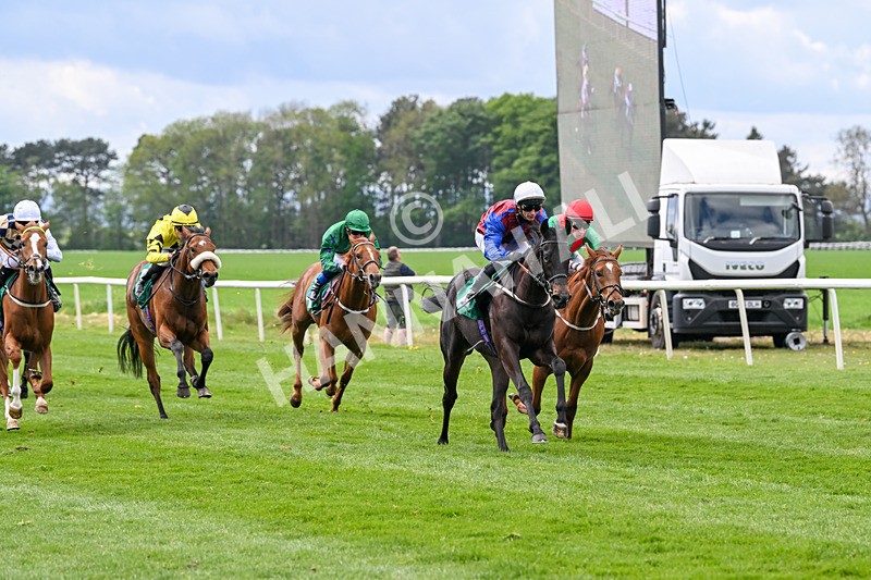 030525-Race 2-Under The Radar-2583 - Race 2