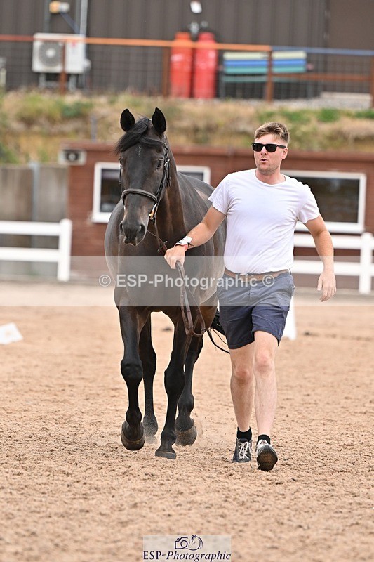 250716-160023-02333 - Trot Up 3.30 to 4.30