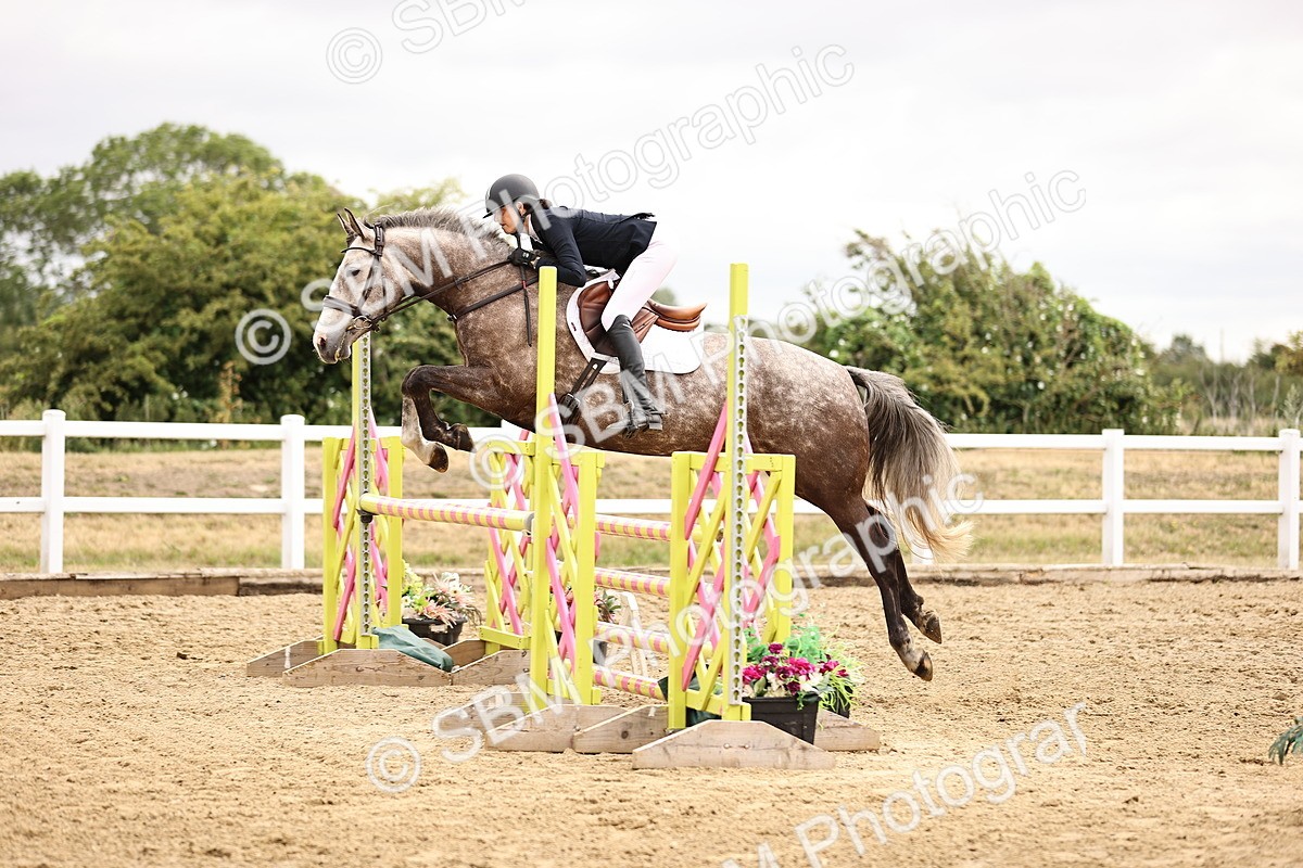 SBM_012934 - Class 13 - Senior British Novice - 90cm Open