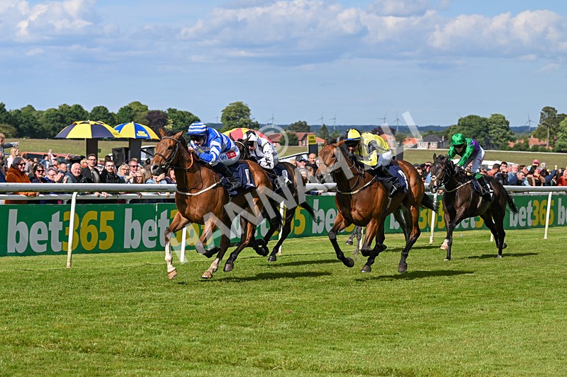 080624-Race 7-This Years Love-2049 - Race 7