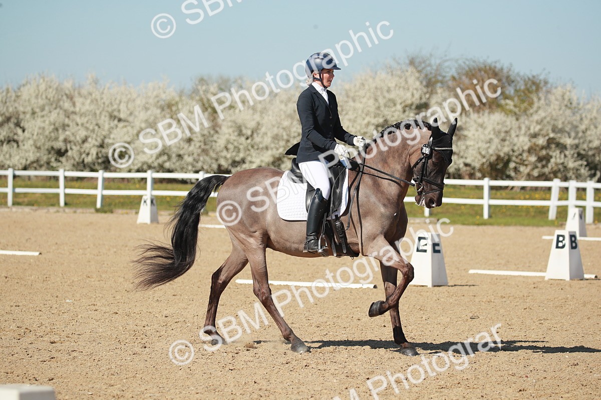 SJ3_1600 - Class 2-5-4-6-7 - Paso Doble-Golega-Sevilla-Lisboa-Novato