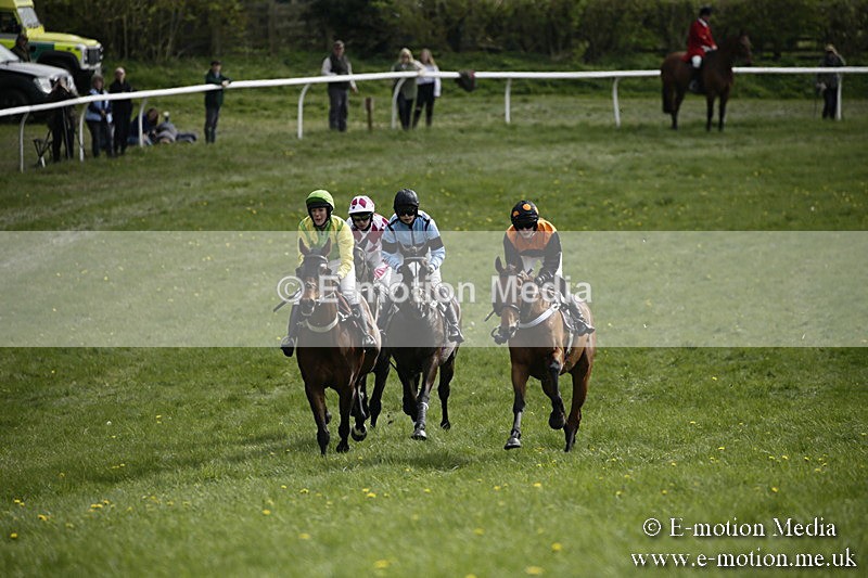 PtP 170417 281 - Old Berks Point-to-Point Lockinge 17/04/17