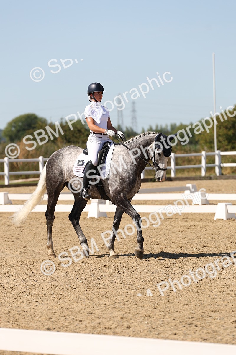 SBM_003628 - Elementary 4