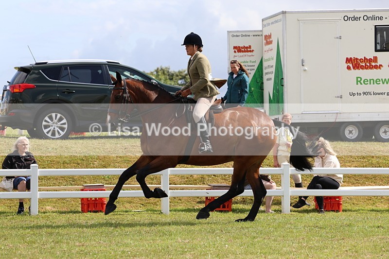 3E7A9363 - Class 4: Rising Star M/H Hunter