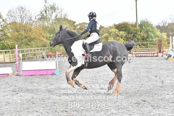 BPP_1878 - CLASS 3 - 80CM