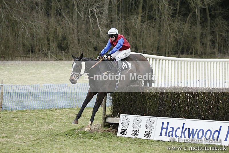 PtP 110318 175 - Hampshire Hunt Point-to-Point Hackwood Park 11/03/18