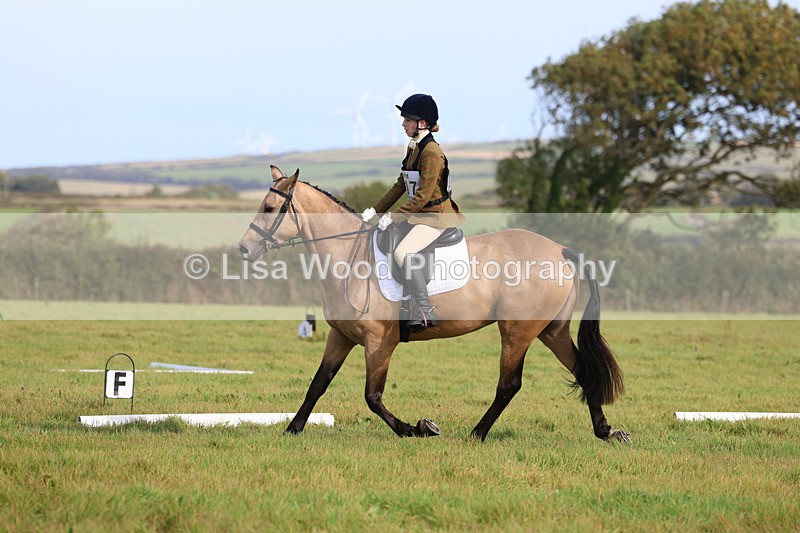 3E7A6125 - Class 1: Trebudannon Open: Dressage (Part 2)