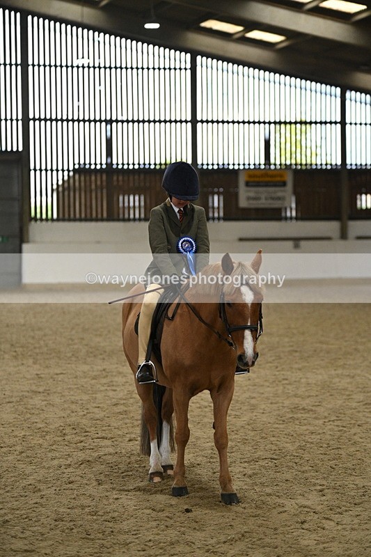 WJ7_4626 - Afternoon Champs