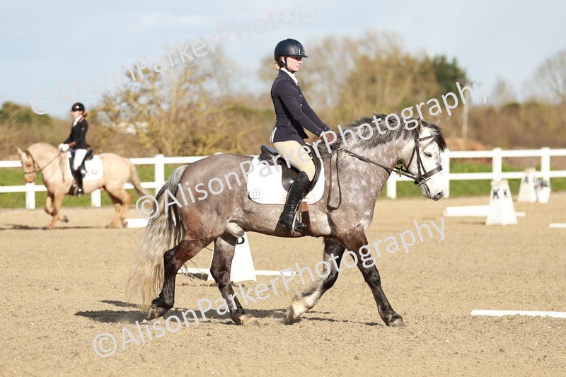 20260314-5411 - DR4 - Prelim 2