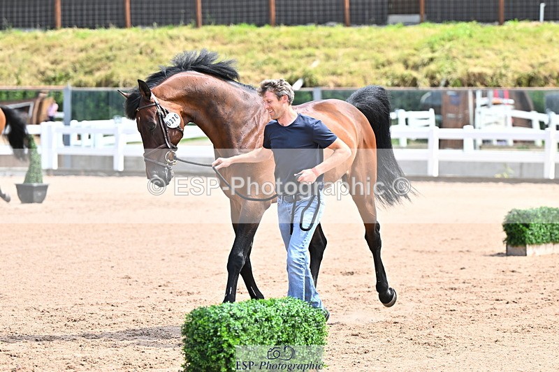 240718A-105247-01159 - Trot Up 12pm to 1pm