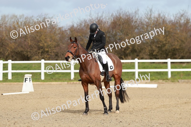 20260314-1156 - DR2 - Intro 3