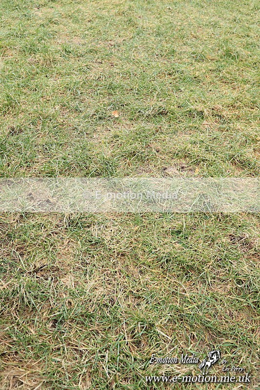 PtPres 16022522 - Presentations Combined Services PtP 16/02/25