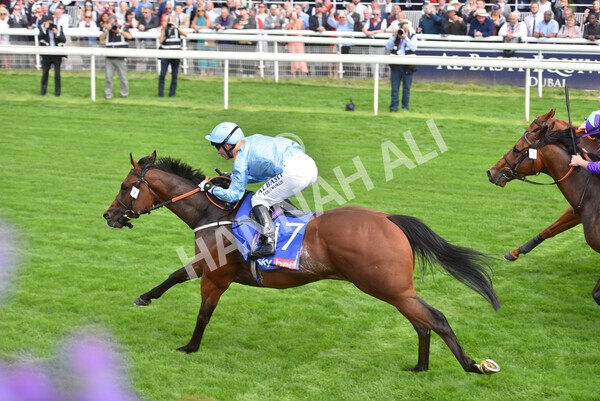 yr18082021r1-78 - Race 1 1.50pm Sky Bet & Symphony Group Stakes