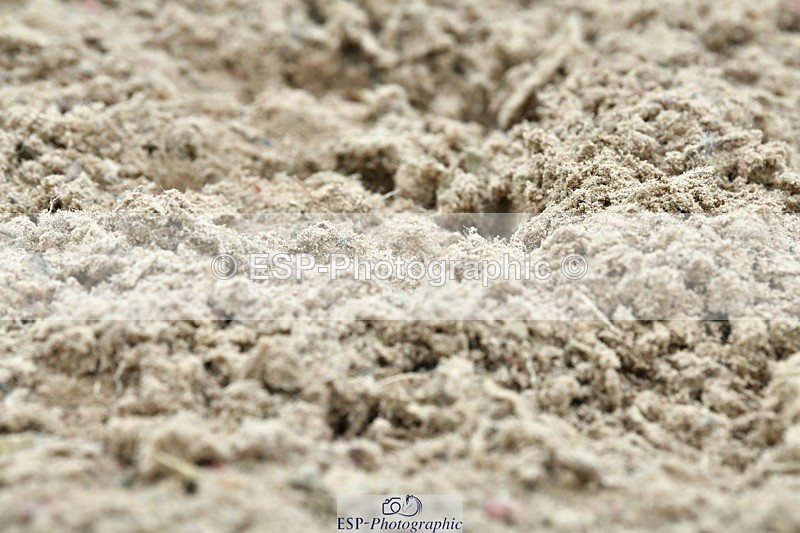 230804A-103746-01972 - Musical Ride