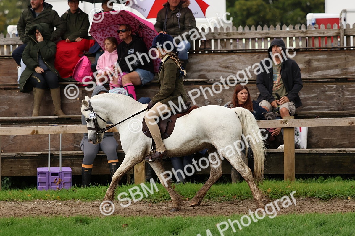SBM_45009 - S27 - Young Veteran Ridden