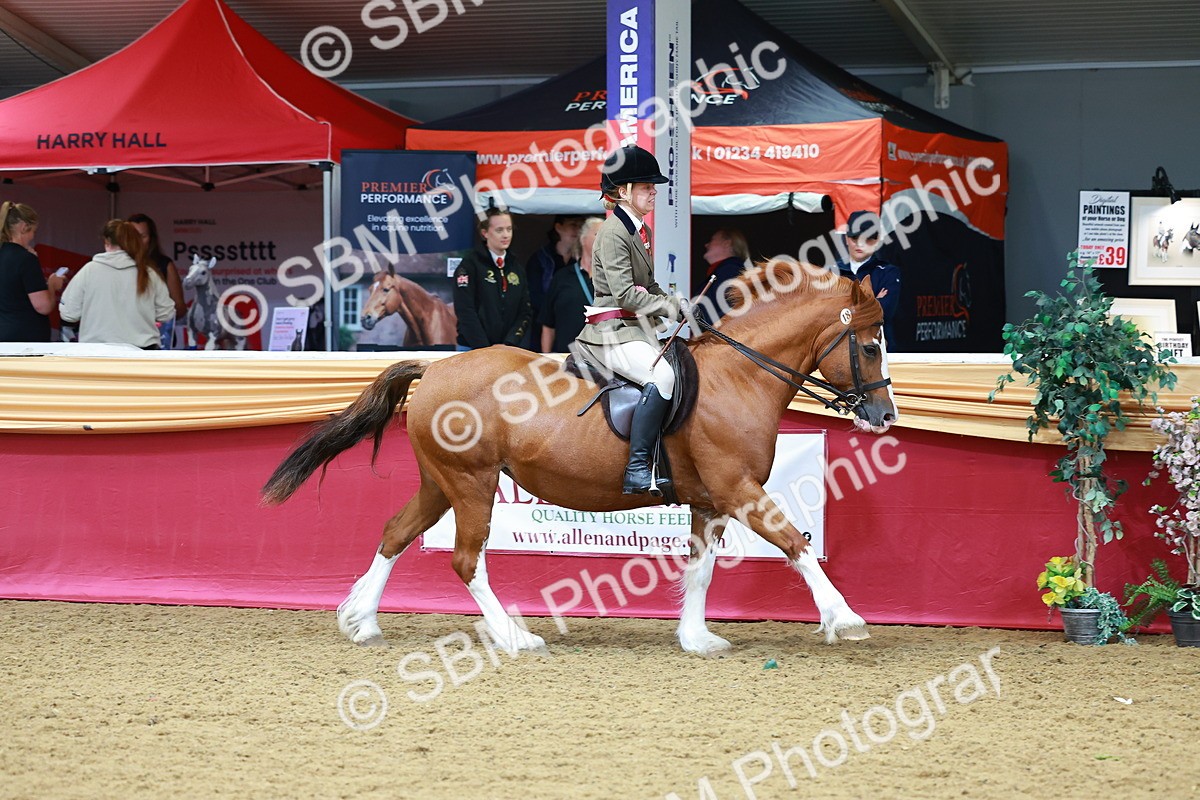 SBM_00870 - Class 6A - Ridden Pre-Vet