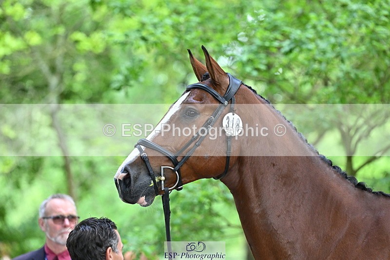 250521A-151153-00334 - B-318-Alexander.Bragg-SHANNONDALE.CONNOR