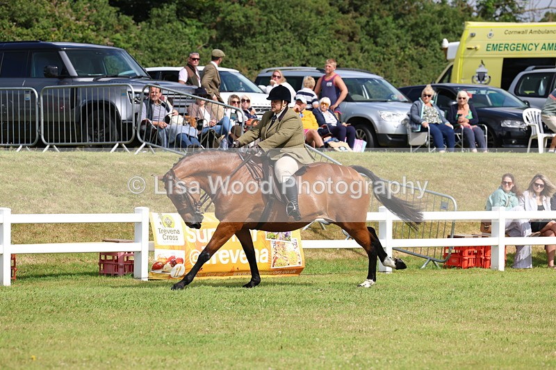 3E7A9436 - Class 4: Rising Star M/H Hunter