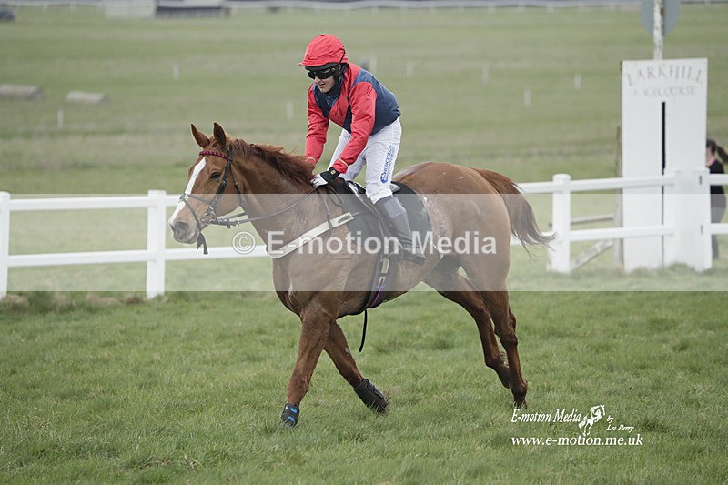 PtP 260323 0608 - New Forest Hounds Point-to-Point Larkhill 26/03/23