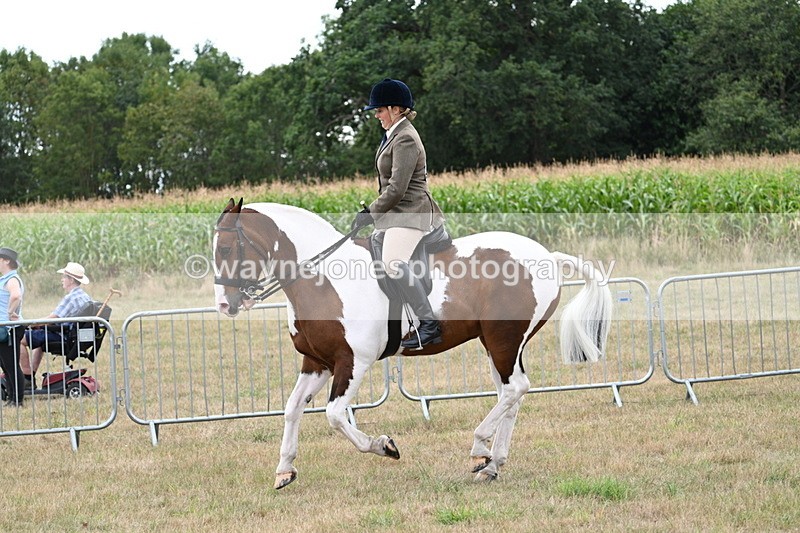 WJ7_5105 - Class 12 Ridden Cob