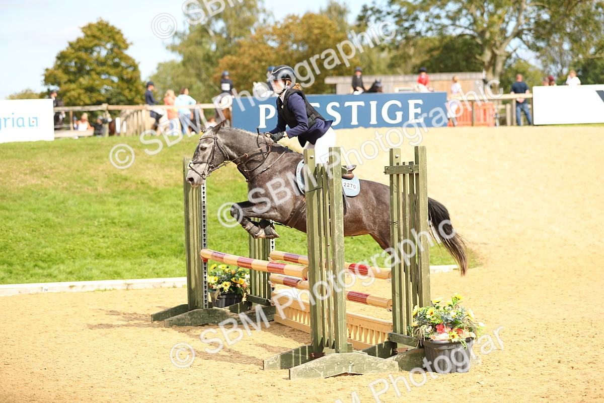 SBM_66167 - J17 - Junior Pony 80cm Championship