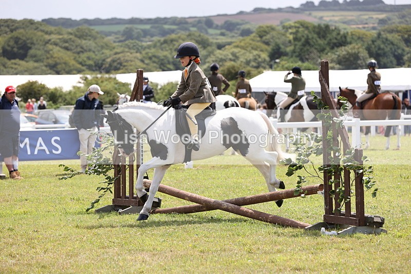 JPP_1798 - Class 18: Tiny Tots Working Hunter Pony